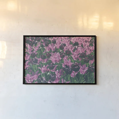 Tulip Botanical by Aledanda. shown as a paper print in a black flame. Available as a archival giclee rolled canvas, fine art paper, or poster print. SKU 63219i.
