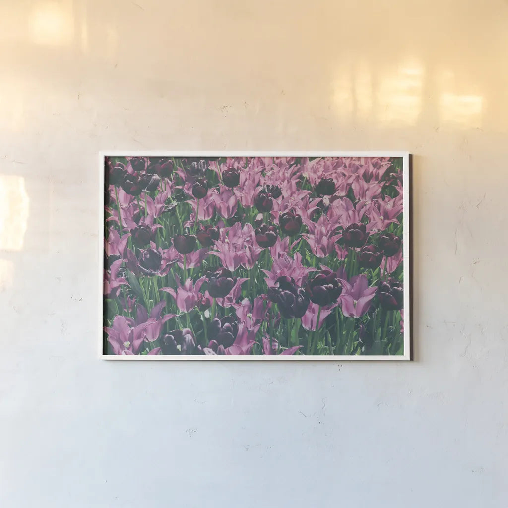 Tulip Botanical by Aledanda. shown as a paper print in a white frame. Available as a archival giclee rolled canvas, fine art paper, or poster print. SKU 63219i.