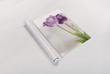 Tulip Time II by Aledanda. shown as a rolled paper print. Available as archival giclee rolled canvas, fine art paper, or poster print. SKU 55237h.
