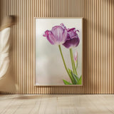 Tulip Time II by Aledanda. shown as over sized large wall art. Available as an archival giclee rolled canvas, fine art paper, or poster print. SKU 55237h.