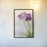 Tulip Time II by Aledanda. shown as a paper print in a black flame. Available as a archival giclee rolled canvas, fine art paper, or poster print. SKU 55237h.