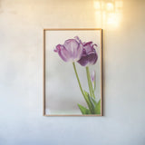 Tulip Time II by Aledanda. shown as a paper print in a natural frame. Available as a archival giclee rolled canvas, fine art paper, or poster print. SKU 55237h.