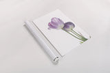 Tulip Time III by Aledanda. shown as a rolled paper print. Available as archival giclee rolled canvas, fine art paper, or poster print. SKU 55238h.