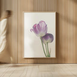 Tulip Time III by Aledanda. shown as over sized large wall art. Available as an archival giclee rolled canvas, fine art paper, or poster print. SKU 55238h.