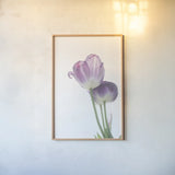 Tulip Time III by Aledanda. shown as a paper print in a natural frame. Available as a archival giclee rolled canvas, fine art paper, or poster print. SKU 55238h.