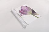 Tulip Time IV by Aledanda. shown as a rolled paper print. Available as archival giclee rolled canvas, fine art paper, or poster print. SKU 55239h.