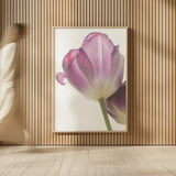 Tulip Time IV by Aledanda. shown as over sized large wall art. Available as an archival giclee rolled canvas, fine art paper, or poster print. SKU 55239h.