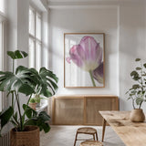 Tulip Time IV by Aledanda. shown as a print in a natural wood frame in a dining room. Available as a archival giclee rolled canvas, fine art paper, or poster print. SKU 55239h.