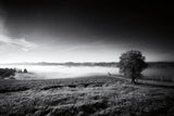 Valley Fog by Aledanda. SKU 71241i. Archival Giclee Fine art print for wall decor.