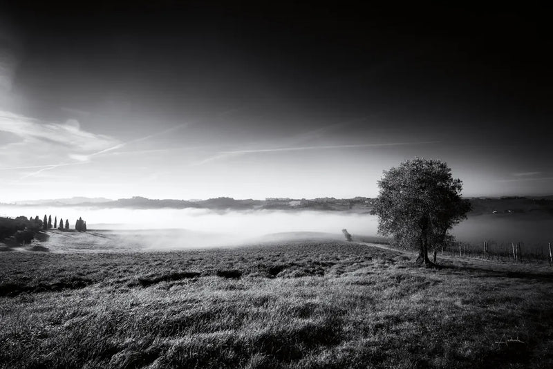 Valley Fog by Aledanda. SKU 71241i. Archival Giclee Fine art print for wall decor.