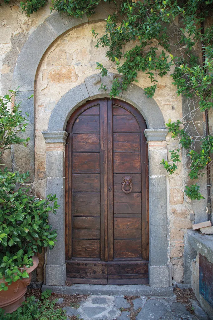 Venice Doorway by Aledanda. SKU 58391h. Archival Giclee Fine art print for wall decor.