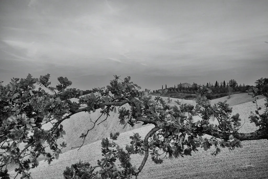 Villa View by Aledanda. SKU 75864i. Archival Giclee Fine art print for wall decor.