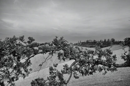 Villa View by Aledanda. SKU 75864i. Archival Giclee Fine art print for wall decor.