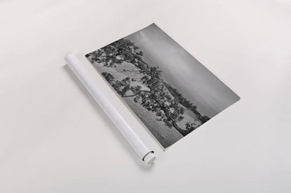 Villa View by Aledanda. shown as a rolled paper print. Available as archival giclee rolled canvas, fine art paper, or poster print. SKU 75864i.