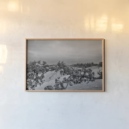 Villa View by Aledanda. shown as a paper print in a natural frame. Available as a archival giclee rolled canvas, fine art paper, or poster print. SKU 75864i.