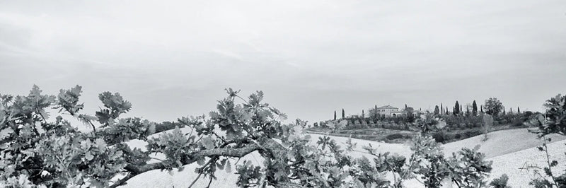Villa View Light Crop by Aledanda