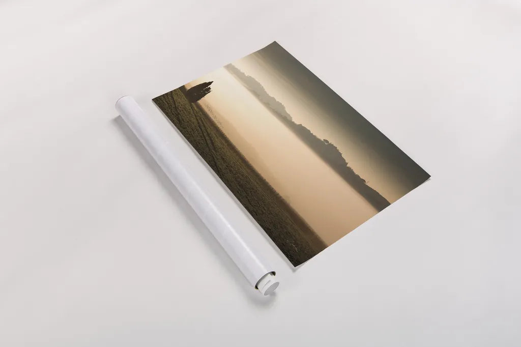 Vineyard Fog by Aledanda. shown as a rolled paper print. Available as archival giclee rolled canvas, fine art paper, or poster print. SKU 72742i.