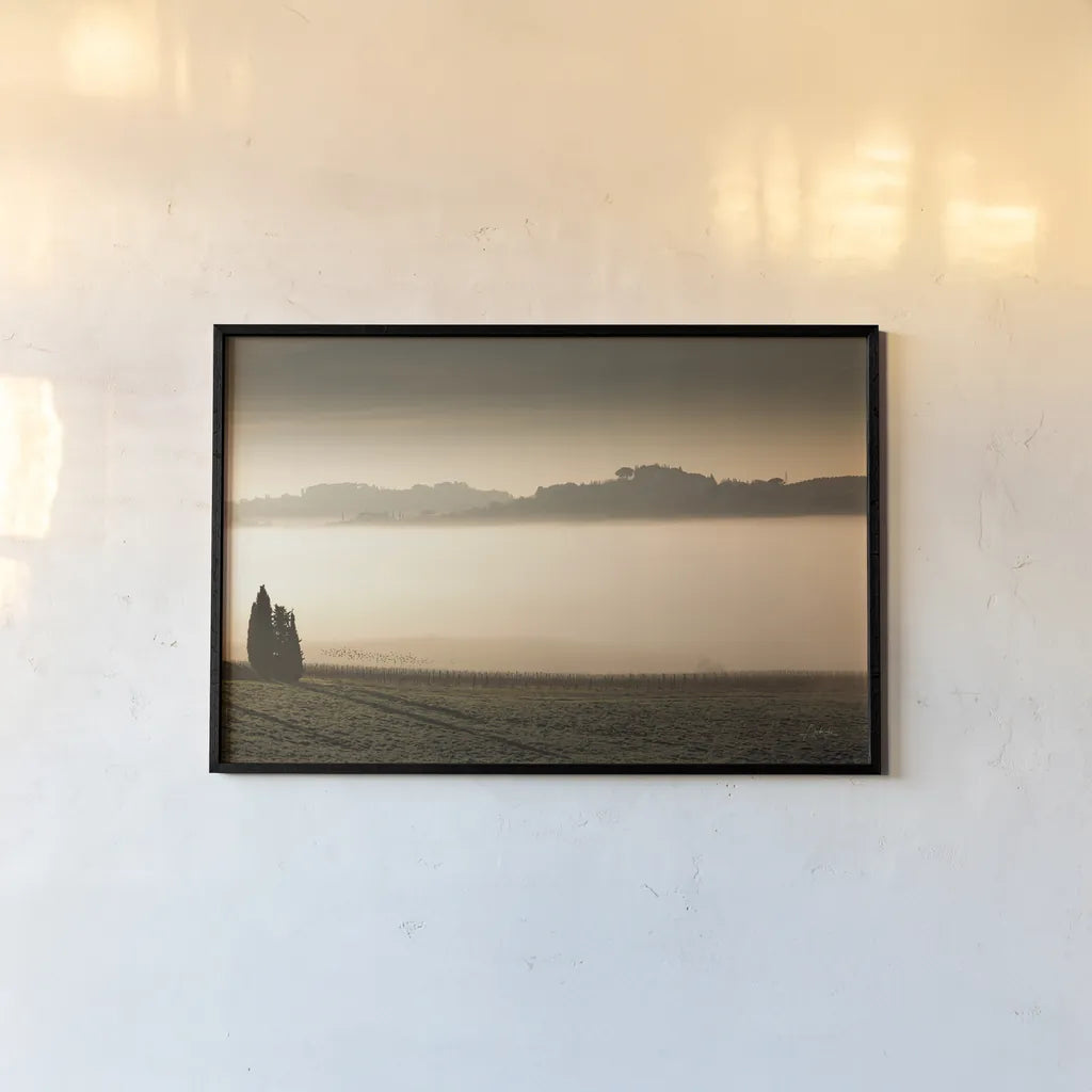 Vineyard Fog by Aledanda. shown as a paper print in a black flame. Available as a archival giclee rolled canvas, fine art paper, or poster print. SKU 72742i.