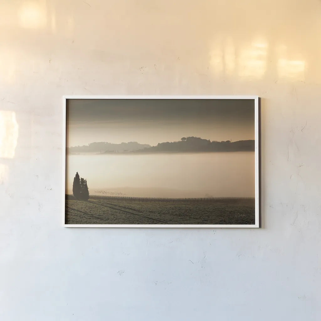 Vineyard Fog by Aledanda. shown as a paper print in a white frame. Available as a archival giclee rolled canvas, fine art paper, or poster print. SKU 72742i.
