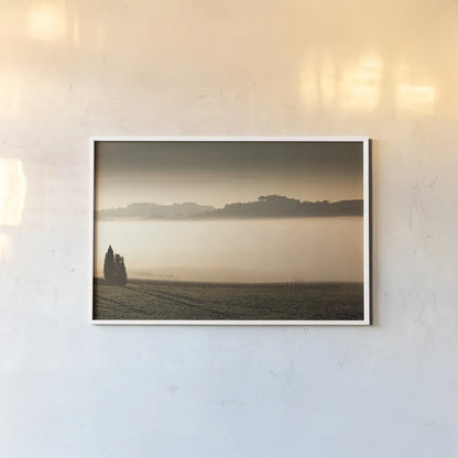 Vineyard Fog by Aledanda. shown as a paper print in a white frame. Available as a archival giclee rolled canvas, fine art paper, or poster print. SKU 72742i.