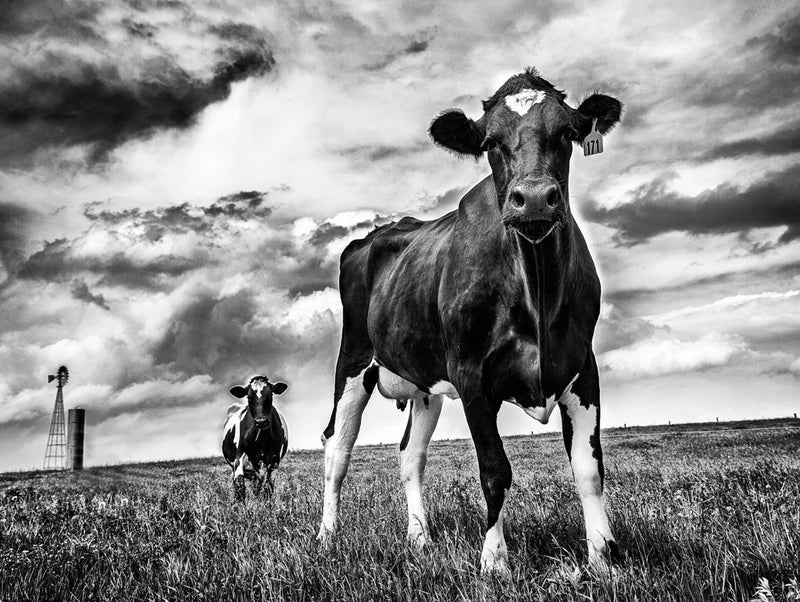Waiting BW by Aledanda