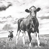 Waiting BW Light Crop by Aledanda. SKU 41192a. Archival Giclee Fine art print for wall decor.