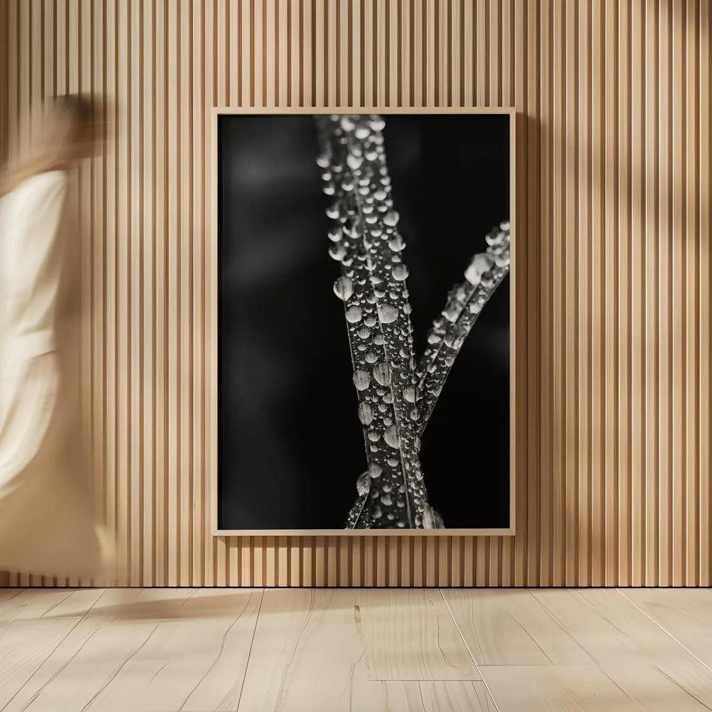 Water Droplets by Aledanda. shown as over sized large wall art. Available as an archival giclee rolled canvas, fine art paper, or poster print. SKU 55304h.