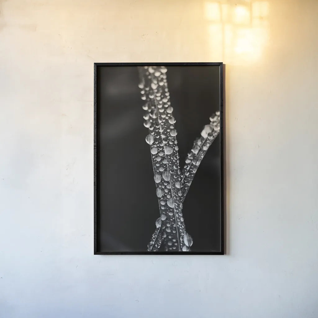 Water Droplets by Aledanda. shown as a paper print in a black flame. Available as a archival giclee rolled canvas, fine art paper, or poster print. SKU 55304h.