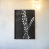 Water Droplets by Aledanda. shown as a paper print in a black flame. Available as a archival giclee rolled canvas, fine art paper, or poster print. SKU 55304h.