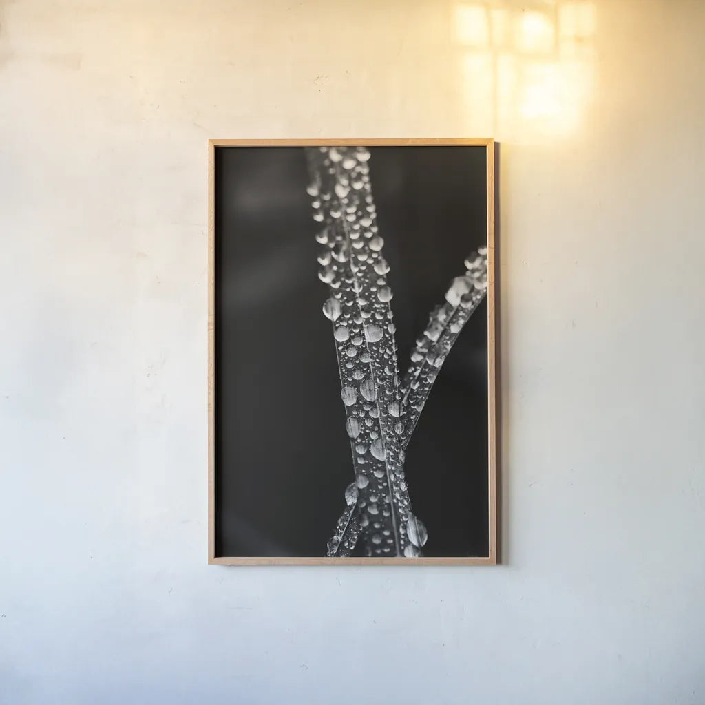 Water Droplets by Aledanda. shown as a paper print in a natural frame. Available as a archival giclee rolled canvas, fine art paper, or poster print. SKU 55304h.