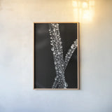 Water Droplets by Aledanda. shown as a paper print in a natural frame. Available as a archival giclee rolled canvas, fine art paper, or poster print. SKU 55304h.