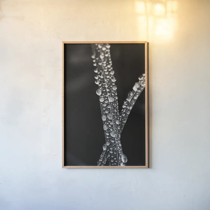 Water Droplets by Aledanda. shown as a paper print in a natural frame. Available as a archival giclee rolled canvas, fine art paper, or poster print. SKU 55304h.