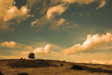 What Beautiful Clouds by Aledanda. SKU 38325i. Archival Giclee Fine art print for wall decor.