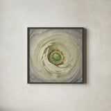 White Peony by Aledanda. Shown in a sleek black glass frame for a contemporary gallery look. Available as an archival giclee rolled canvas, fine art paper, or poster print. SKU 37450a.