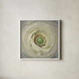 White Peony by Aledanda. Shown in a crisp white glass frame for a clean and minimalist style. Available as an archival giclee rolled canvas, fine art paper, or poster print. SKU 37450a.