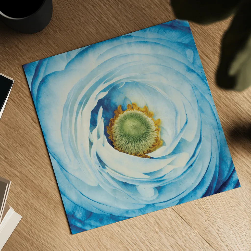 White Peony with Blue by Aledanda. Shown as a detailed flat fine art print, highlighting archival giclee quality. Available as an archival giclee rolled canvas, fine art paper, or poster print. SKU 45211a.