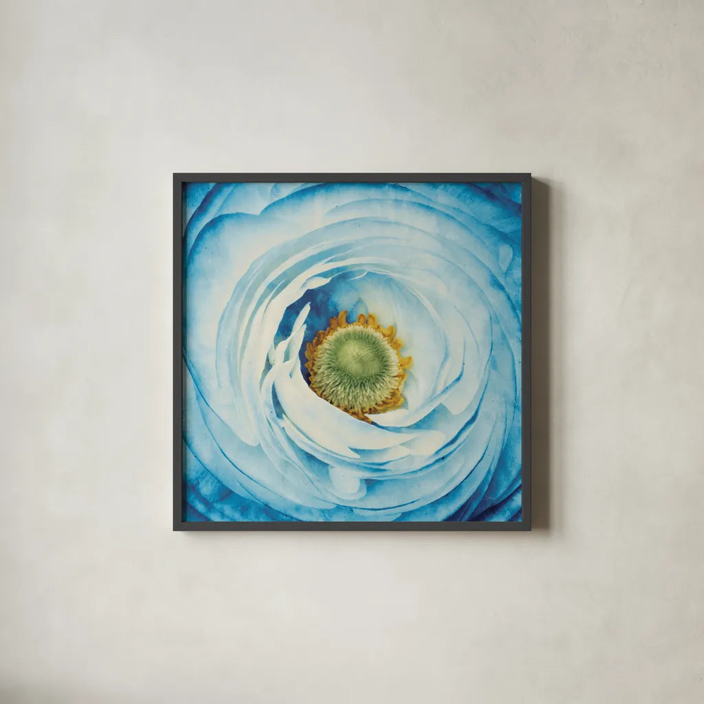 White Peony with Blue by Aledanda. Shown in a sleek black glass frame for a contemporary gallery look. Available as an archival giclee rolled canvas, fine art paper, or poster print. SKU 45211a.