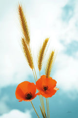 Wild Poppies by Aledanda. SKU 77230h. Archival Giclee Fine art print for wall decor.