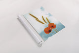 Wild Poppies by Aledanda. shown as a rolled paper print. Available as archival giclee rolled canvas, fine art paper, or poster print. SKU 77230h.