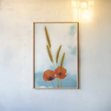 Wild Poppies by Aledanda. shown as a paper print in a natural frame. Available as a archival giclee rolled canvas, fine art paper, or poster print. SKU 77230h.