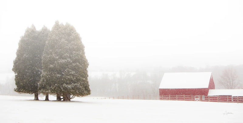Winter Farm by Aledanda