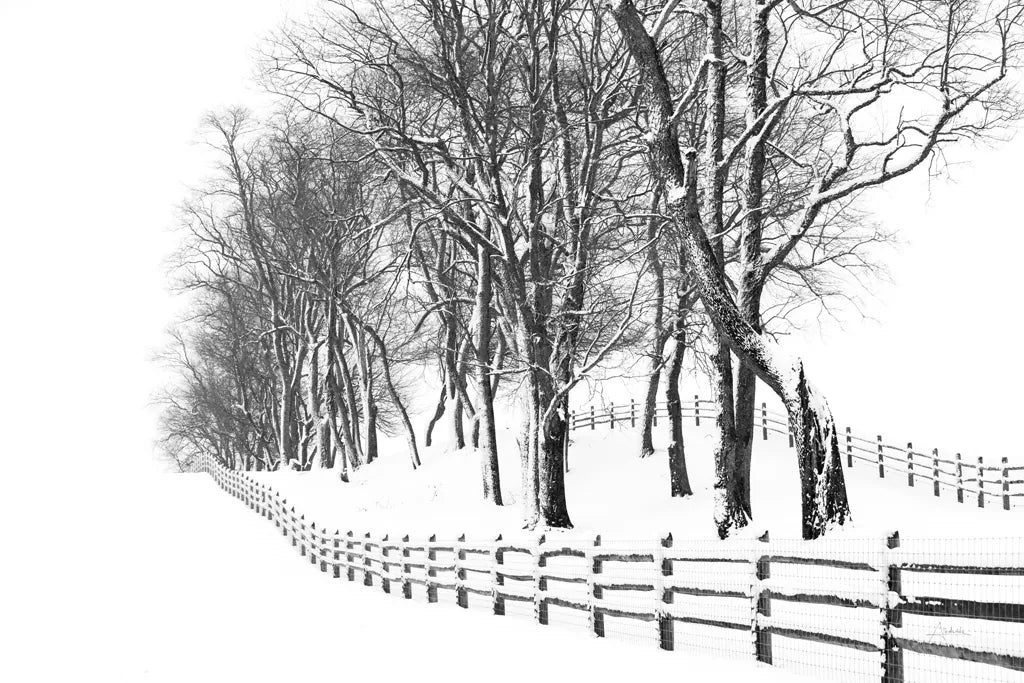Winter Wonderland by Aledanda. SKU 62478i. Archival Giclee Fine art print for wall decor.