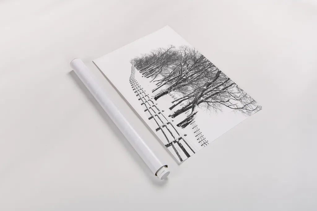 Winter Wonderland by Aledanda. shown as a rolled paper print. Available as archival giclee rolled canvas, fine art paper, or poster print. SKU 62478i.