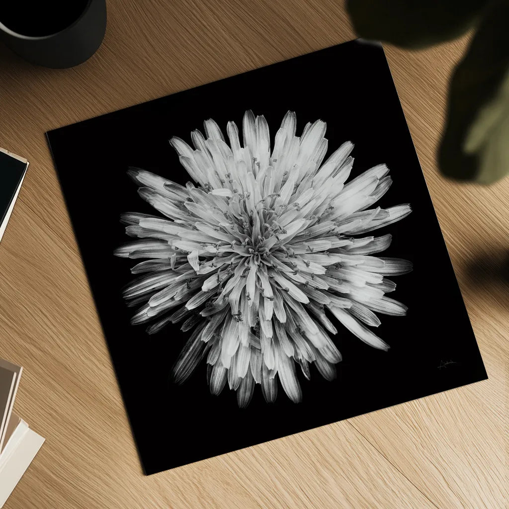 Yellow Flower I by Aledanda. Shown as a detailed flat fine art print, highlighting archival giclee quality. Available as an archival giclee rolled canvas, fine art paper, or poster print. SKU 55260a.