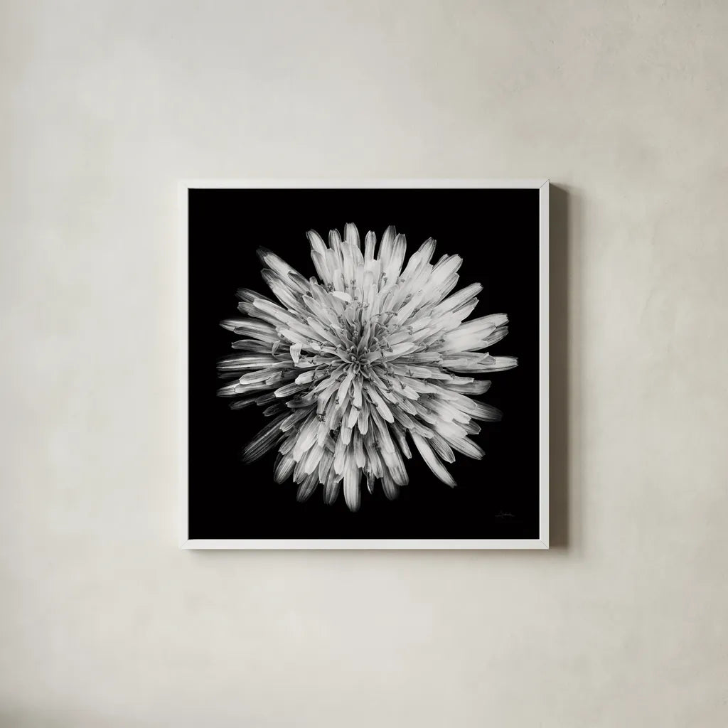 Yellow Flower I by Aledanda. Shown in a crisp white glass frame for a clean and minimalist style. Available as an archival giclee rolled canvas, fine art paper, or poster print. SKU 55260a.