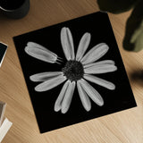 Yellow Flower IV by Aledanda. Shown as a detailed flat fine art print, highlighting archival giclee quality. Available as an archival giclee rolled canvas, fine art paper, or poster print. SKU 55263a.
