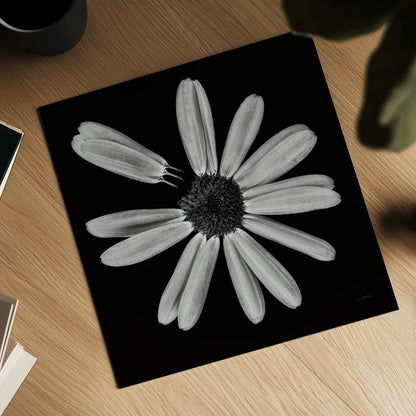 Yellow Flower IV by Aledanda. Shown as a detailed flat fine art print, highlighting archival giclee quality. Available as an archival giclee rolled canvas, fine art paper, or poster print. SKU 55263a.