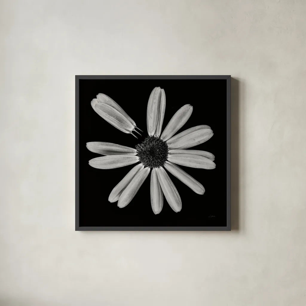 Yellow Flower IV by Aledanda. Shown in a sleek black glass frame for a contemporary gallery look. Available as an archival giclee rolled canvas, fine art paper, or poster print. SKU 55263a.
