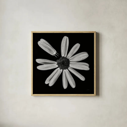 Yellow Flower IV by Aledanda. Shown in a natural wood glass frame for a timeless modern aesthetic. Available as an archival giclee rolled canvas, fine art paper, or poster print. SKU 55263a.