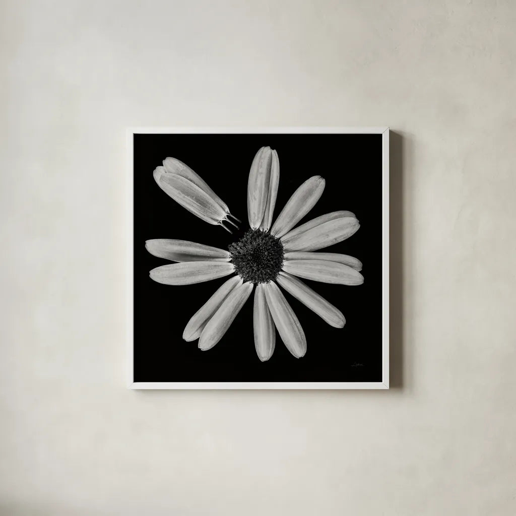Yellow Flower IV by Aledanda. Shown in a crisp white glass frame for a clean and minimalist style. Available as an archival giclee rolled canvas, fine art paper, or poster print. SKU 55263a.